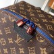 LOUIS VUITTON APOLLO Backpack