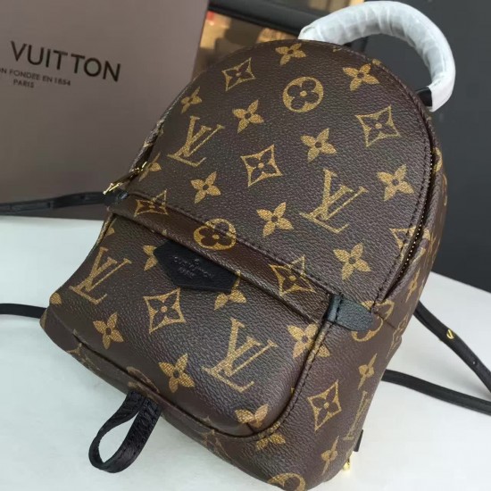 Louis Vuitton Backpack