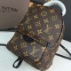 Louis Vuitton Backpack