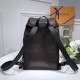 LOUIS VUITTON Canyon Backpack