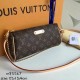 Louis Vuitton EVA