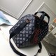 LOUIS VUITTON Speedy