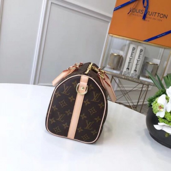 Louis Vuitton Speedy Nano