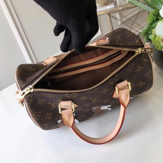 Louis Vuitton Speedy Nano