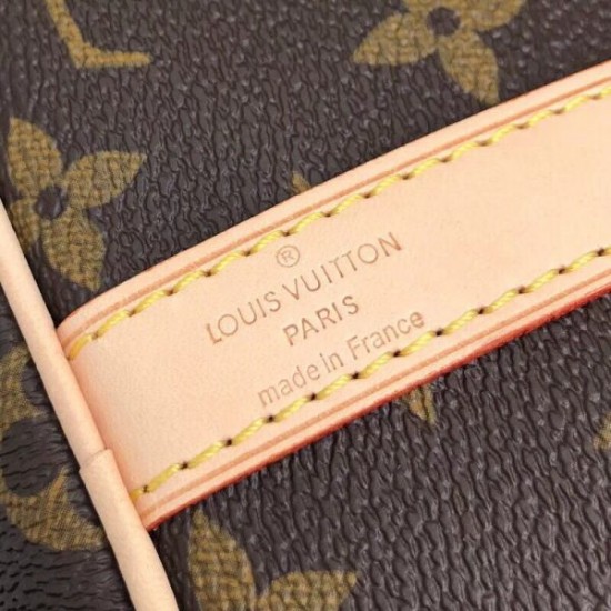 Louis Vuitton Speedy Nano