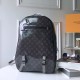 LOUIS VUITTON Titanium Backpack