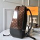 LOUIS VUITTON Titanium Backpack