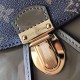 LOUIS VUITTON Vernis Backpakc