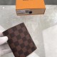 Louis Vuitton Victorine