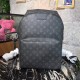 Louis Vuitton  Backpack