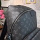 Louis Vuitton  Backpack