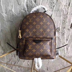 Louis Vuitton Monogram Backpack