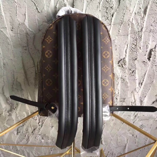 Louis Vuitton Monogram Backpack