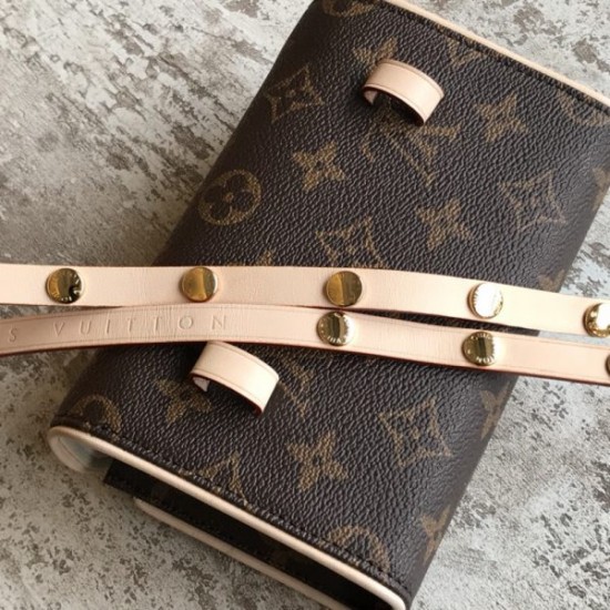 Louis Vuitton Monogram Pochette