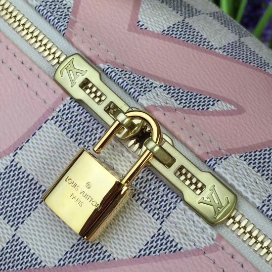 Louis Vuitton speedy