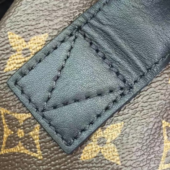 Louis Vuitton BACKPACK