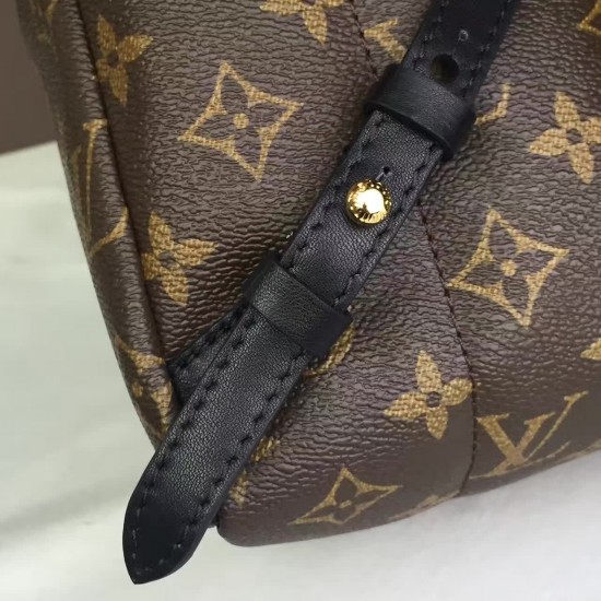 Louis Vuitton BACKPACK