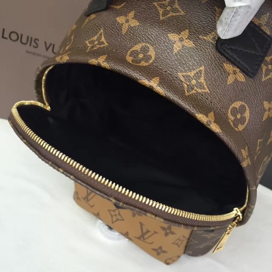 Louis Vuitton BACKPACK