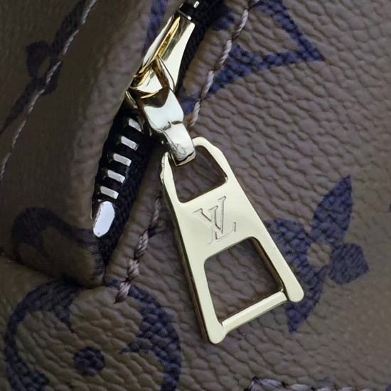 Louis Vuitton BACKPACK MINI