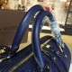 LOUIS VUITTON SPEEDY 25