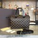 LOUIS VUITTON SPEEDY 25