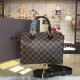 LOUIS VUITTON SPEEDY 25