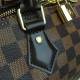 LOUIS VUITTON SPEEDY 25