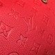 LOUIS VUITTON SPEEDY 25