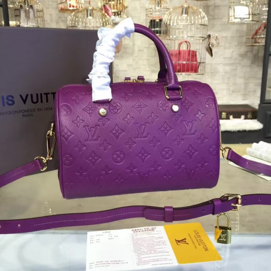 Louis Vuitton SPEEDY 25