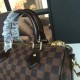 Louis Vuitton SPEEDY 25