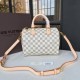 Louis Vuitton SPEEDY 25