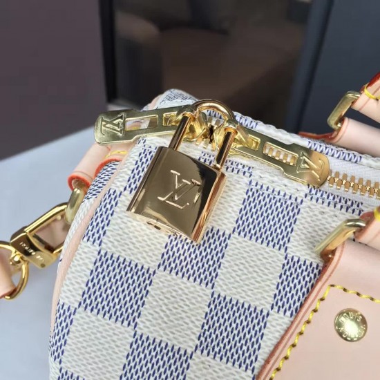 Louis Vuitton SPEEDY 25