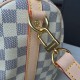 Louis Vuitton SPEEDY 25