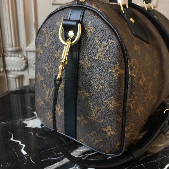 Louis Vuitton SPEEDY 25