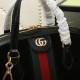 Gucci Ophidia Bag