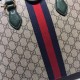 Gucci Ophidia Bag