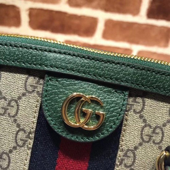 Gucci Ophidia Bag