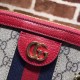 Gucci Ophidia Bag