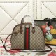 Gucci Ophidia Bag