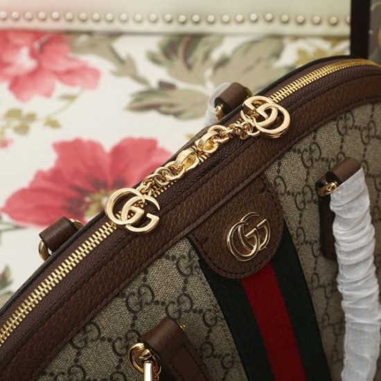 Gucci Ophidia Bag