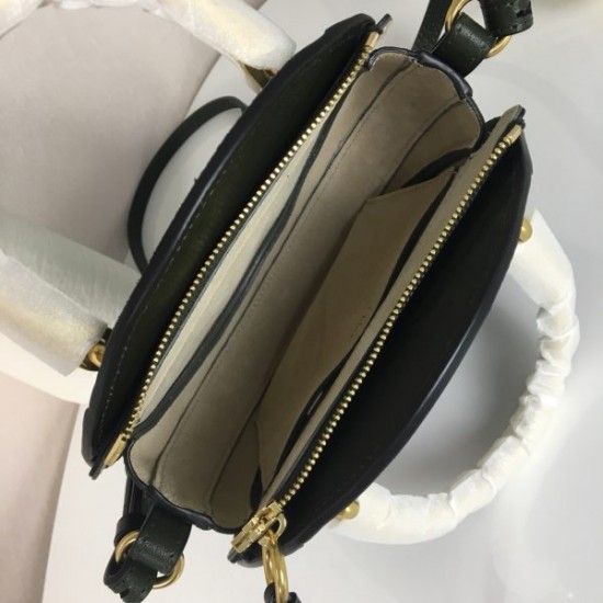 Chloe Pixie bag