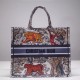 DIOR BOOK TOTE BAG