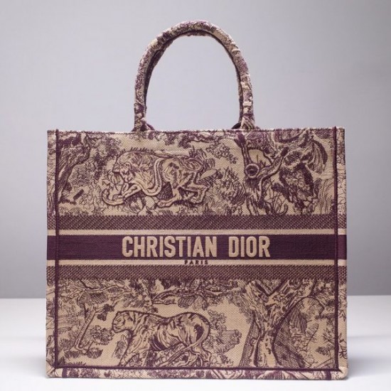 DIOR BOOK TOTE BAG