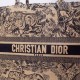 DIOR BOOK TOTE BAG