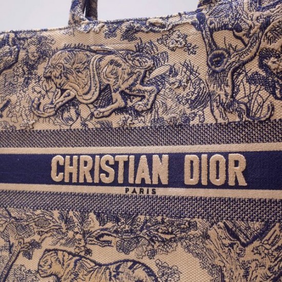 DIOR BOOK TOTE BAG