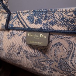 DIOR BOOK TOTE BAG