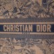 DIOR BOOK TOTE BAG