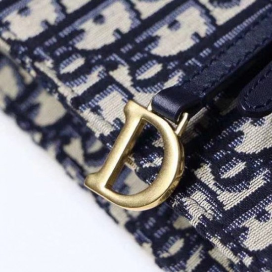 DIOR OBLIQUE SADDLE CLUTCH