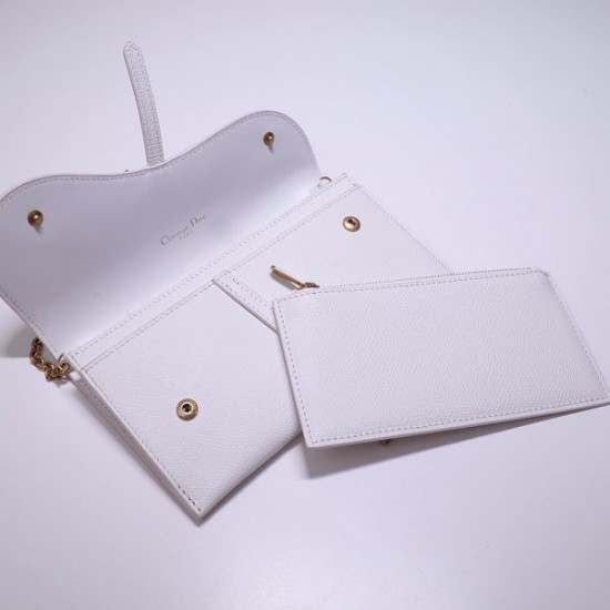 DIOR OBLIQUE SADDLE CLUTCH