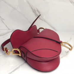 Dior Saddle Bag